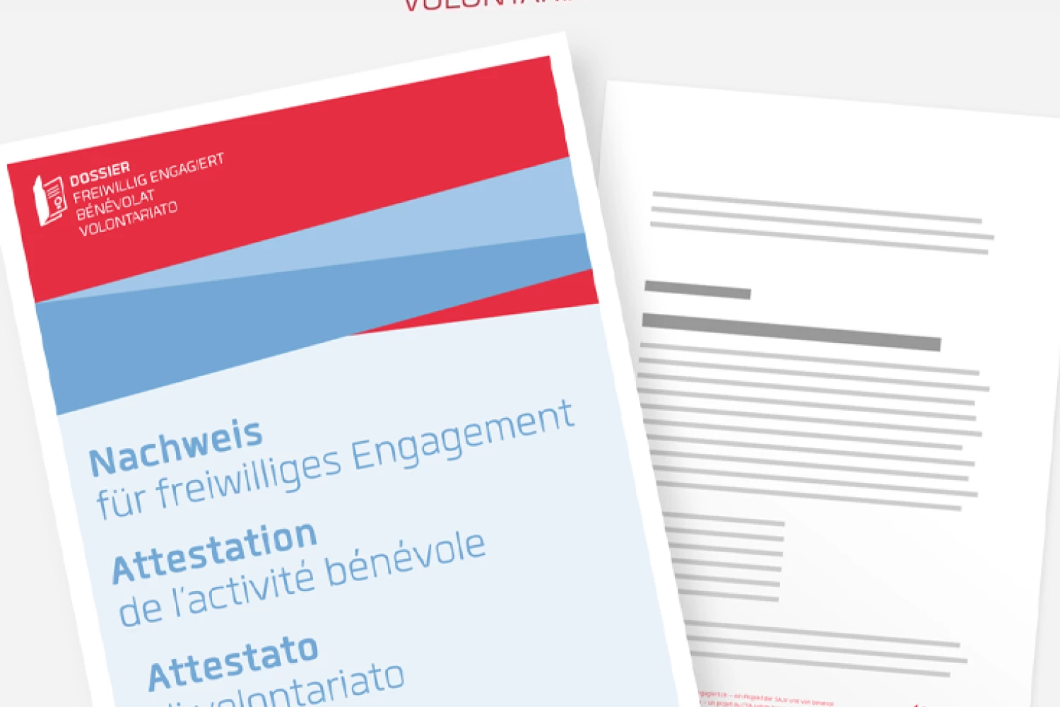 Nachweis für freiwilliges Engagement